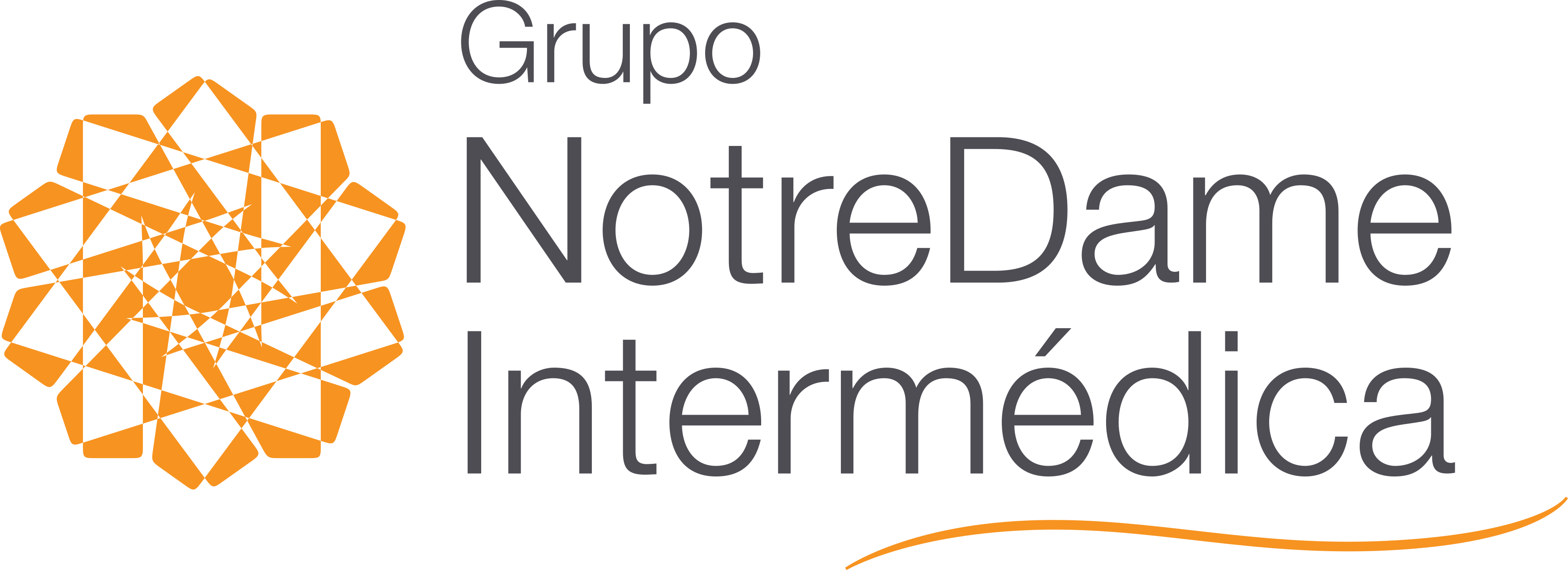 Grupo Notredame Intermédica Logo